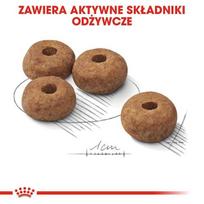 royal canin medium adult - Sausas šunų maistas Royal Canin CCN Sterilised Medium, 12 kg - 8 nuotrauka