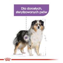 royal canin medium adult - Sausas šunų maistas Royal Canin CCN Sterilised Medium, 12 kg - 9 nuotrauka
