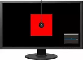 monitorius cs2 - EIZO CS2731 27" IPS, 2560x1440, USB-C, 60W - 3 nuotrauka