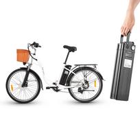 dyu elektrinis - DYU C6 350W - 2 nuotrauka
