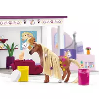 schleich horse club - Figūrėlių rinkinys Schleich Horse Club Sofias Beauties Pet Salon 42614, 66 vnt., įvairių spalvų - 3 nuotrauka