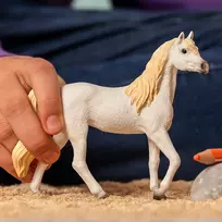 schleich horse club - Žaislinė figūrėlė Schleich Horse Club Arabian Mare 13908 - 3 nuotrauka