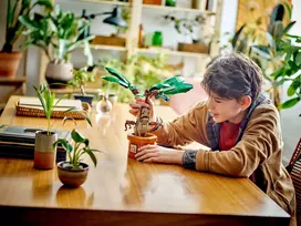 haris poteris - LEGO Mandrake 76433 - 3 nuotrauka
