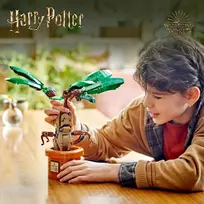 haris poteris - LEGO Mandrake 76433 - 5 nuotrauka