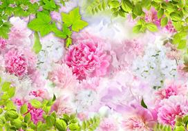 Fototapetas Artgeist Peonies 5XLNEW011301SAM, 315 cm x 441 cm
