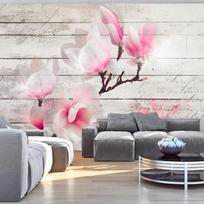 Fototapetas Artgeist Gentleness Of The Magnolia 3XLFT14SAM, 256 cm x 343 cm