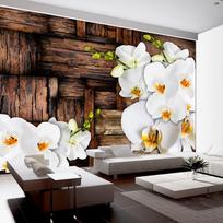 Fototapetas Artgeist Blooming Orchids SNEW010875SAM, 70 cm x 98 cm