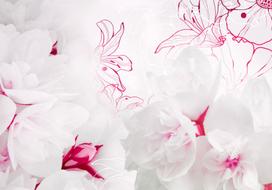 Fototapetas Artgeist Enveloped In White XLNEW010739, 175 cm x 250 cm