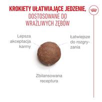 royal canin sterilised 4 kg - Royal Canin Ageing 11+ Sterilised sausas maistas katėms 400 g - 10 nuotrauka