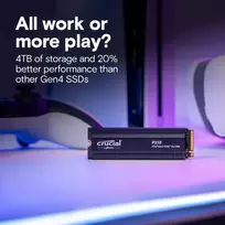 crucial 4tb - Crucial SSD P310 4TB PCie 4.0 NVMe w/Heatsink | CT4000P310SSD5  | 0649528946218 - 4 nuotrauka