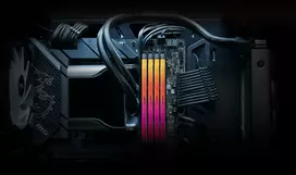 32 gb ddr5 ram - Kingston Fury Renegade RGB 32GB (2x16GB) DDR5 8000MHz CL38 DIMM - 3 nuotrauka