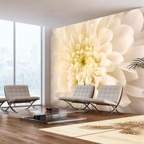 Fototapetas Artgeist White Dahlia, 231 cm x 300 cm