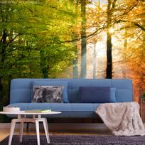 Fototapetas Artgeist Forest Colours 5XLFT1773SAM, 315 cm x 441 cm