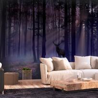 Fototapetas Artgeist Mystical Forest LFT1947, 140 cm x 200 cm
