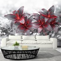 Fototapetas Artgeist Shadow Of Passion MFT850SAM, 256 cm x 343 cm