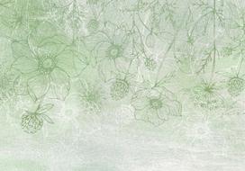 Fototapetas Artgeist Flowery Meadow - Nature With Field Flowers Lineart On Green Background, 105 cm x 147 cm