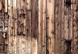 Fototapetas Artgeist Poetry Of Wood 4XLFT32SAM, 280 cm x 392 cm