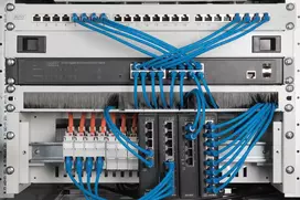 laikikliai tinklui - Digitus Cable Brush Management Panel DN-97660, 1.1 cm - 2 nuotrauka