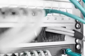 laikikliai tinklui - Digitus Cable Brush Management Panel DN-97660, 1.1 cm - 3 nuotrauka