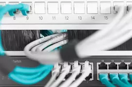 laikikliai tinklui - Digitus Cable Brush Management Panel DN-97660, 1.1 cm - 5 nuotrauka