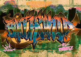 Fototapetas Artgeist Street Art 4XLFT210SAM, 280 cm x 392 cm