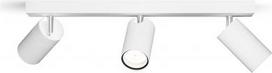 Philips Idris 3xGU10/5W IP44 White (Balta)