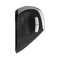 mouse ergonomic - Rapoo EV250 Juoda (Black) - 2 nuotrauka