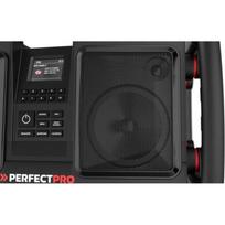 koloneles 50w - PerfectPro ROCKBULL Juodas (Black) - 2 nuotrauka