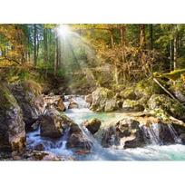 puzzle 2000 - Castorland Reminiscence of the Autumn Forest C-200757-2, 2000 det. - 2 nuotrauka