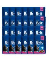 Brit Premium Chicken & Turkey, vištiena/kalakutiena, 24 x 0.1 kg