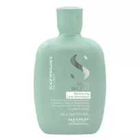 linu semenys - AlfaParf Semi Di Lino Scalp Rebalance šampūnas - 1000 ml. - 2 nuotrauka