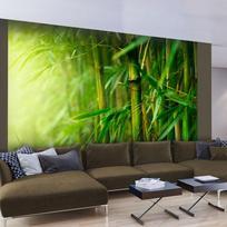 Fototapetas Artgeist Jungle - Bamboo 4XLFTNT0980, 309 cm x 309 cm