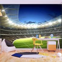 Fototapetas Artgeist National Stadium, 309 cm x 309 cm