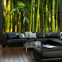 Fototapetas Artgeist Asian Bamboo Forest, 309 cm x 309 cm
