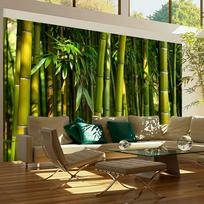 Fototapetas Artgeist Asian Bamboo Forest, 270 cm x 270 cm