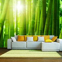 Fototapetas Artgeist Sun And Bamboo LFTNT1012SAM, 154 cm x 154 cm