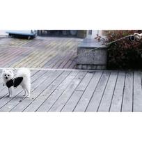pavadelis suniui 15 m - Automatinis pavadėlis Purlov Automatic Leash XL16304, juodas/pilkas, 5 m x 11 mm - 2 nuotrauka