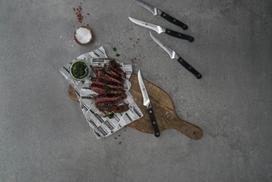 zwilling knife set - ZWILLING Set with Steak knives, 4 x - 2 nuotrauka