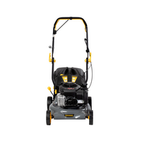 grunder savaeiges benzinines zoliapjoves - GRUNDER S421V-BS300E, 42 cm - 16 nuotrauka