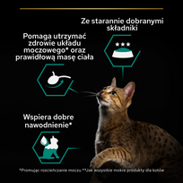 purina pro plan - Šlapias kačių maistas Purina Pro Plan Salmon & Tuna, žuvis/mėsa, 0.085 kg - 3 nuotrauka