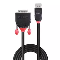 displayport cable 5m - LINDY 5m DisplayPort to DVI-D Cable - 5 nuotrauka