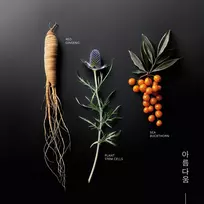 ginseng - Korika Korean Heritage Cell Renew paakių kremas - 15 ml. - 2 nuotrauka