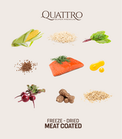 quattro extra salmon - Quattro Adult All Breed Salmon sausas maistas šunims 12 kg - 2 nuotrauka