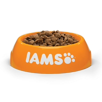 hairball - IAMS Cat Adult All Breeds Hairball Control Chicken 10 kg - 3 nuotrauka