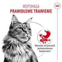royal canin konservai katems - Royal Canin Digestive Care Airlift Mousse konservai katėms, 85 g - 6 nuotrauka
