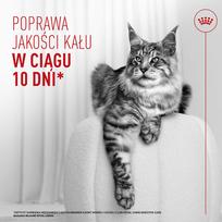 royal canin konservai katems - Royal Canin Digestive Care Airlift Mousse konservai katėms, 85 g - 7 nuotrauka
