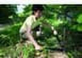 kabliai - Šakų sekatorius Fiskars L74, 38 mm - 3 nuotrauka
