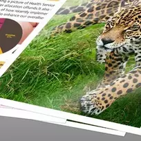 epson xp spausdintuvas - EPSON C13T02W14010 - 3 nuotrauka