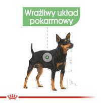 mesos konservai - Šlapias maistas Royal Canin Digestive Care Mėsa 12 x 85 g - 7 nuotrauka