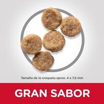 science plan small - Sausas šunų maistas Hill's, vištiena/kalakutiena, 1.5 kg - 3 nuotrauka